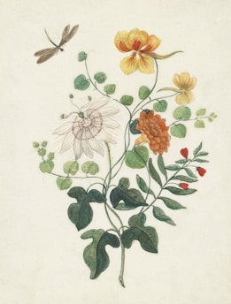 A botanical illustration depicting a variety of flowers and leaves. A dragonfly hovers near the bloom, which includes yellow, white, and orange flowers. The leaves are intricately detailed, presenting a natural and delicate appearance.