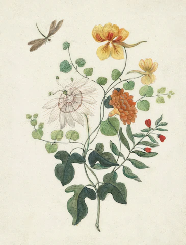 An illustrated chapter page showing intricate drawings of pollinators and flowers.