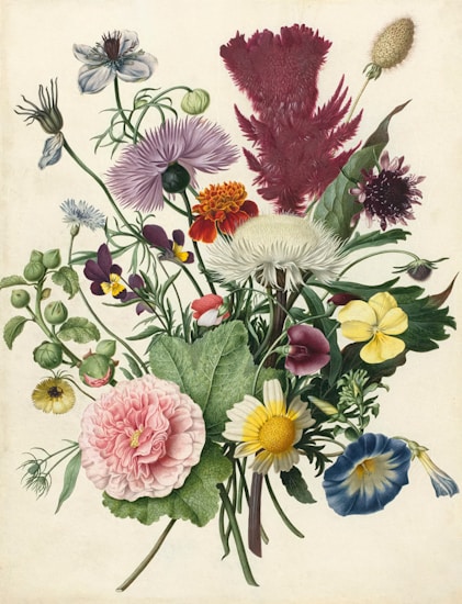 A detailed botanical illustration featuring a diverse array of flowers and plants. The image includes various blooms such as roses, daisies, pansies, morning glories, and other colorful flowers. The arrangement showcases intricate details in the petals, leaves, and stems, all set against a plain background.