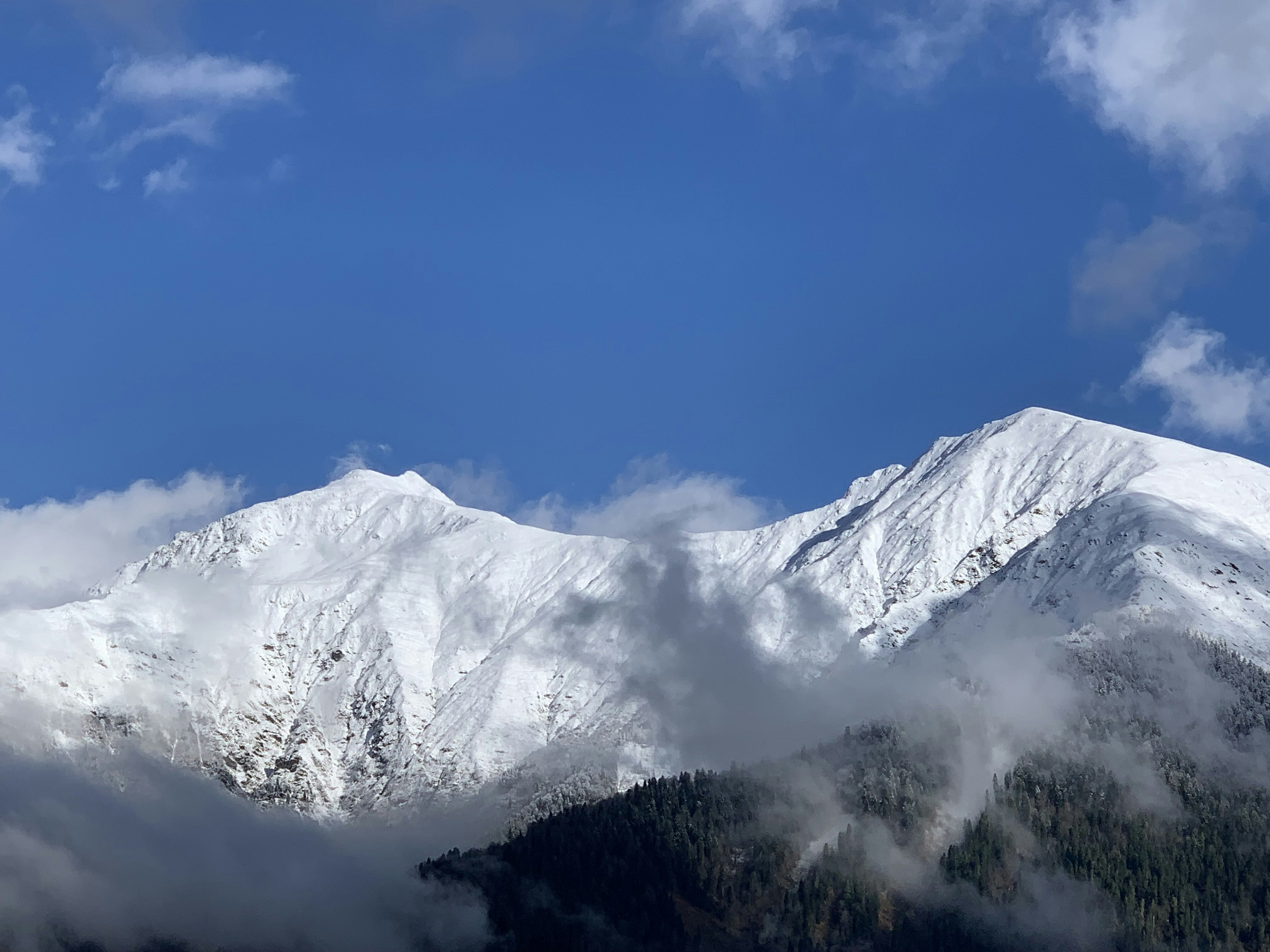 Photo by webdrawcolors