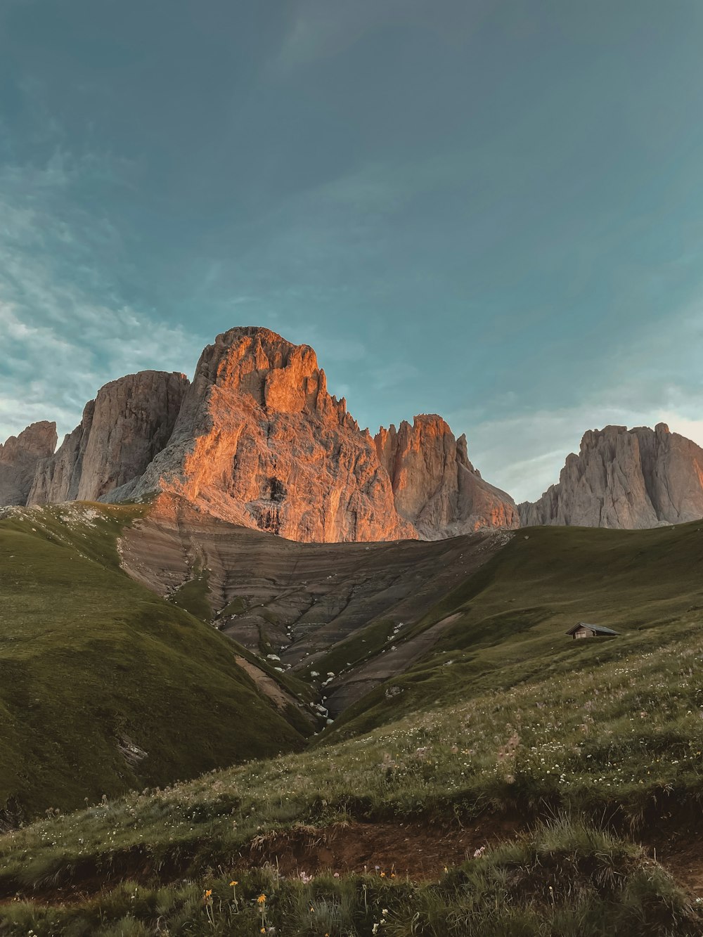 a mountain range with grass and flowers in the foreground