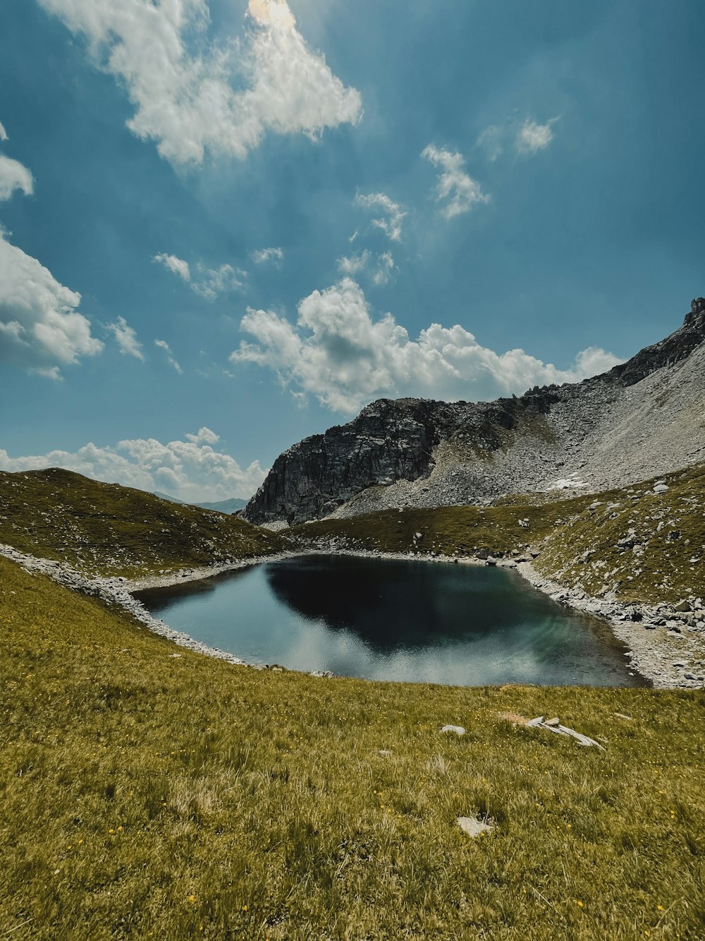 a small lake in the middle of a grassy field