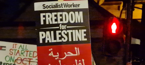 A protest sign with text in English and Arabic advocating for freedom for Palestine. The sign is held up in front of a red traffic light.