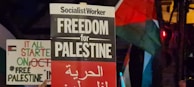 Protest signs advocating for Palestine are visible, with one prominently displaying 'Freedom for Palestine' along with Arabic text. A flag can be seen in the background, likely the Palestinian flag with red, green, and black colors.