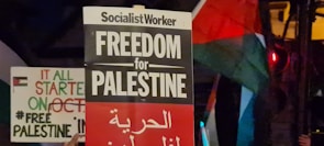Protest signs advocating for Palestine are visible, with one prominently displaying 'Freedom for Palestine' along with Arabic text. A flag can be seen in the background, likely the Palestinian flag with red, green, and black colors.