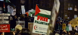 A large crowd of people is gathered, holding signs and banners advocating for Palestinian freedom. The signs include messages like 'Free Palestine'. Flags can be seen in the background, along with people of various ages in the dimly lit area.