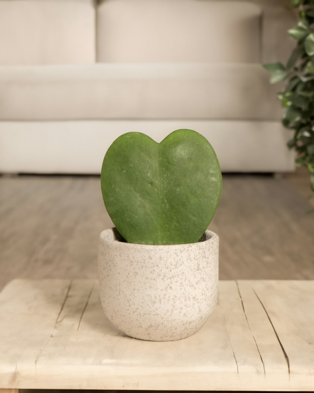 una planta verde en forma de corazón en una maceta blanca