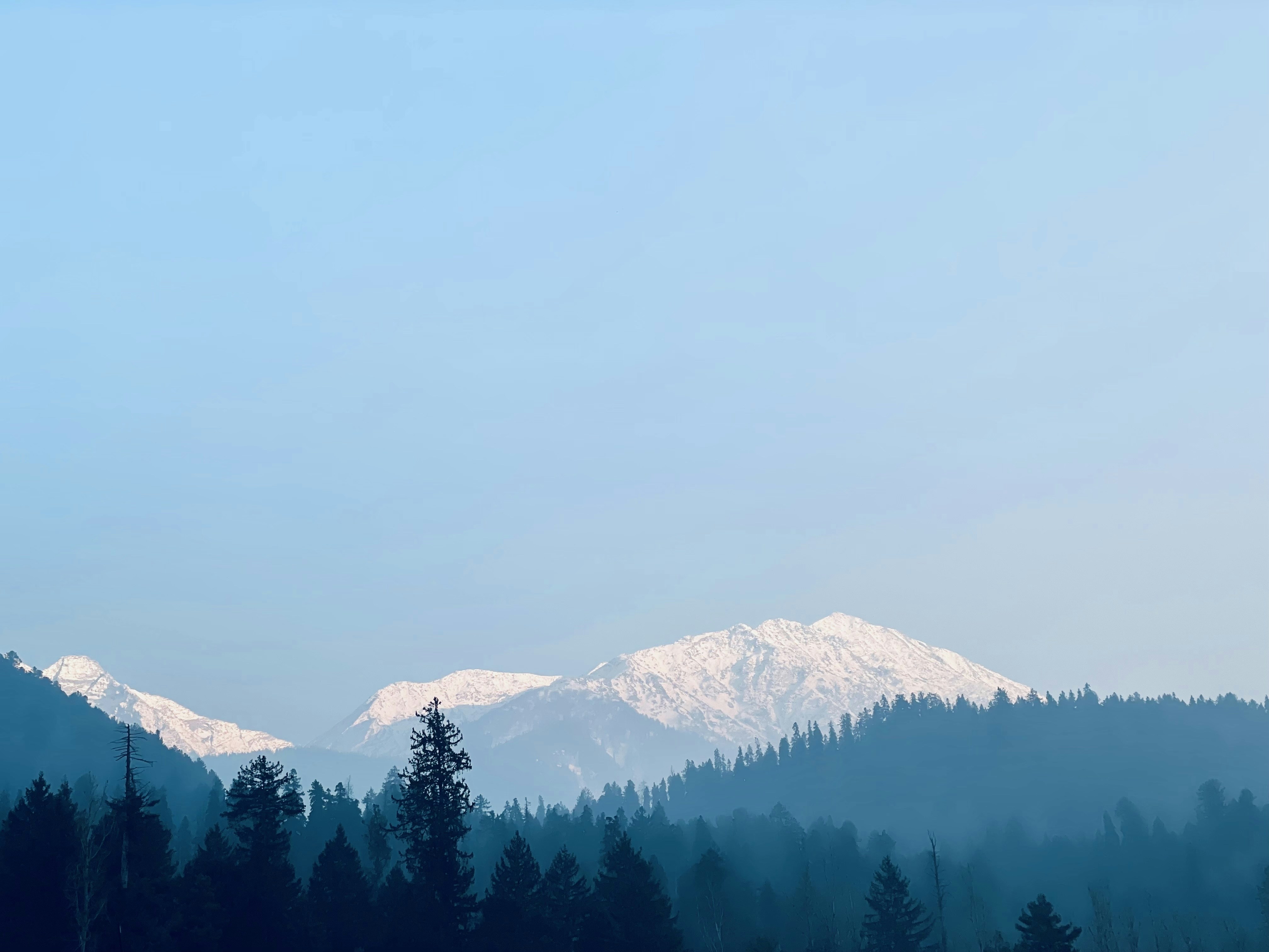 Photo by arjun_vaishak