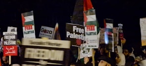 A group of people are holding various protest signs advocating for Palestinian freedom. The signs feature messages such as 'Free Palestine', 'Freedom for Palestine', and other similar statements. The crowd appears to be gathered in a demonstration or rally.