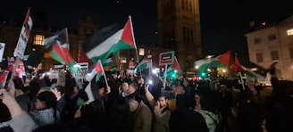 A large group of people are gathered in a nighttime setting holding flags and signs in what appears to be a demonstration. The flags are prominently red, white, green, and black, suggesting a particular national identity. The background includes a tall, well-lit building, possibly of historic or governmental significance.