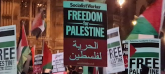 Protesters holding signs with messages supporting Palestinian freedom and solidarity, amidst a crowd waving flags.