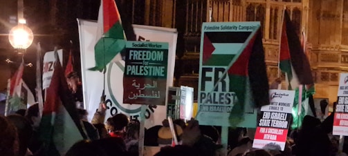 A group of people holds signs and banners with messages supporting Palestine, including 'Freedom for Palestine' and 'End Israeli State Terror'. The signs display the colors of the Palestinian flag, and the scene appears to be outdoors in a dimly lit area.