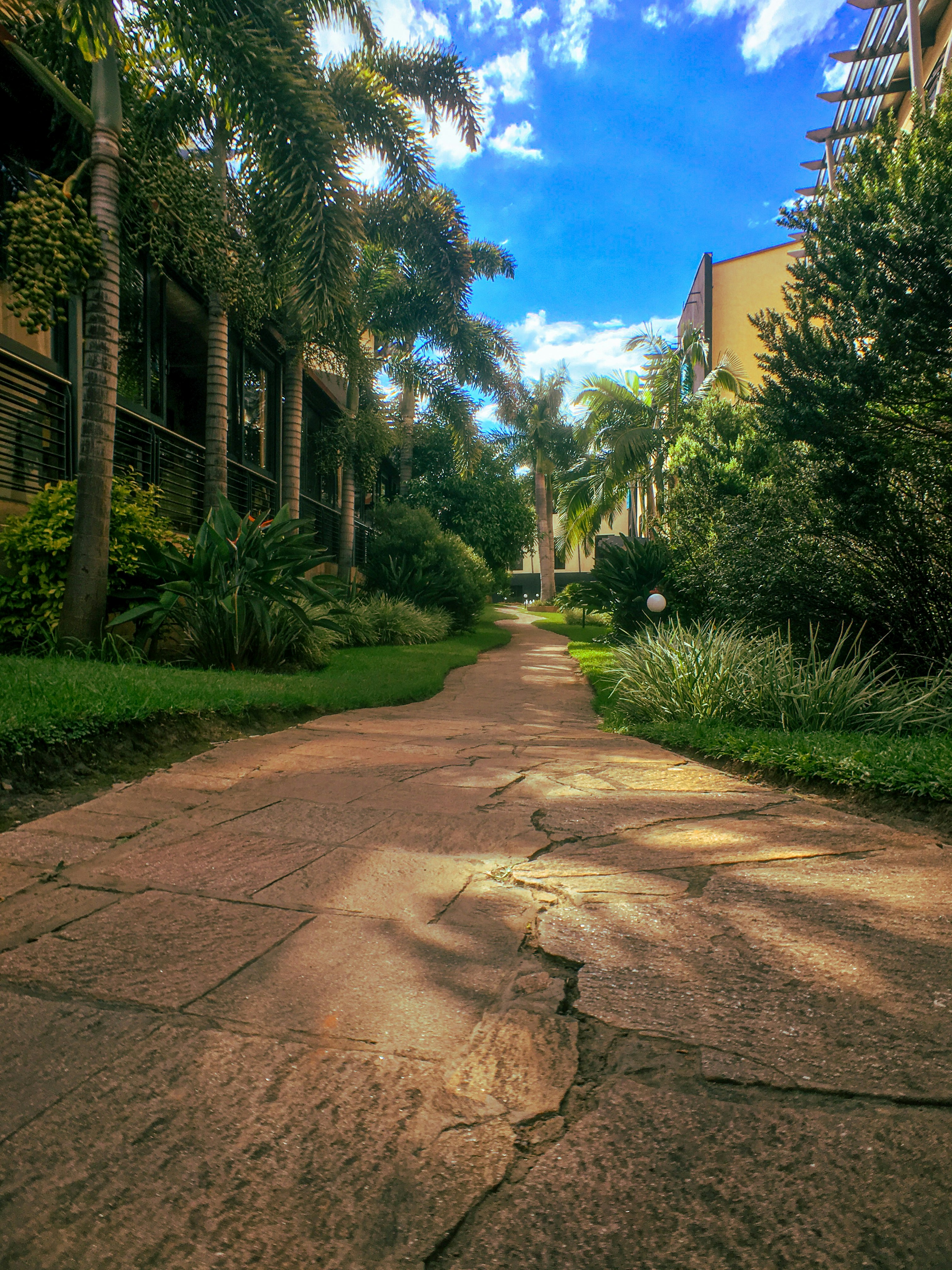 Cheap flights to Lusaka