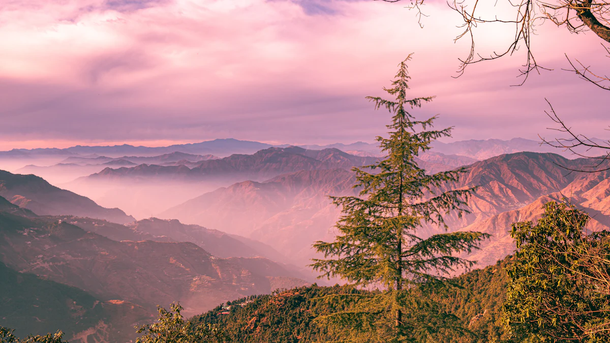 A lone conifer in front of layered, hazy mountain ridges under a pink sunrise sky at Mussoorie, Uttarakhand