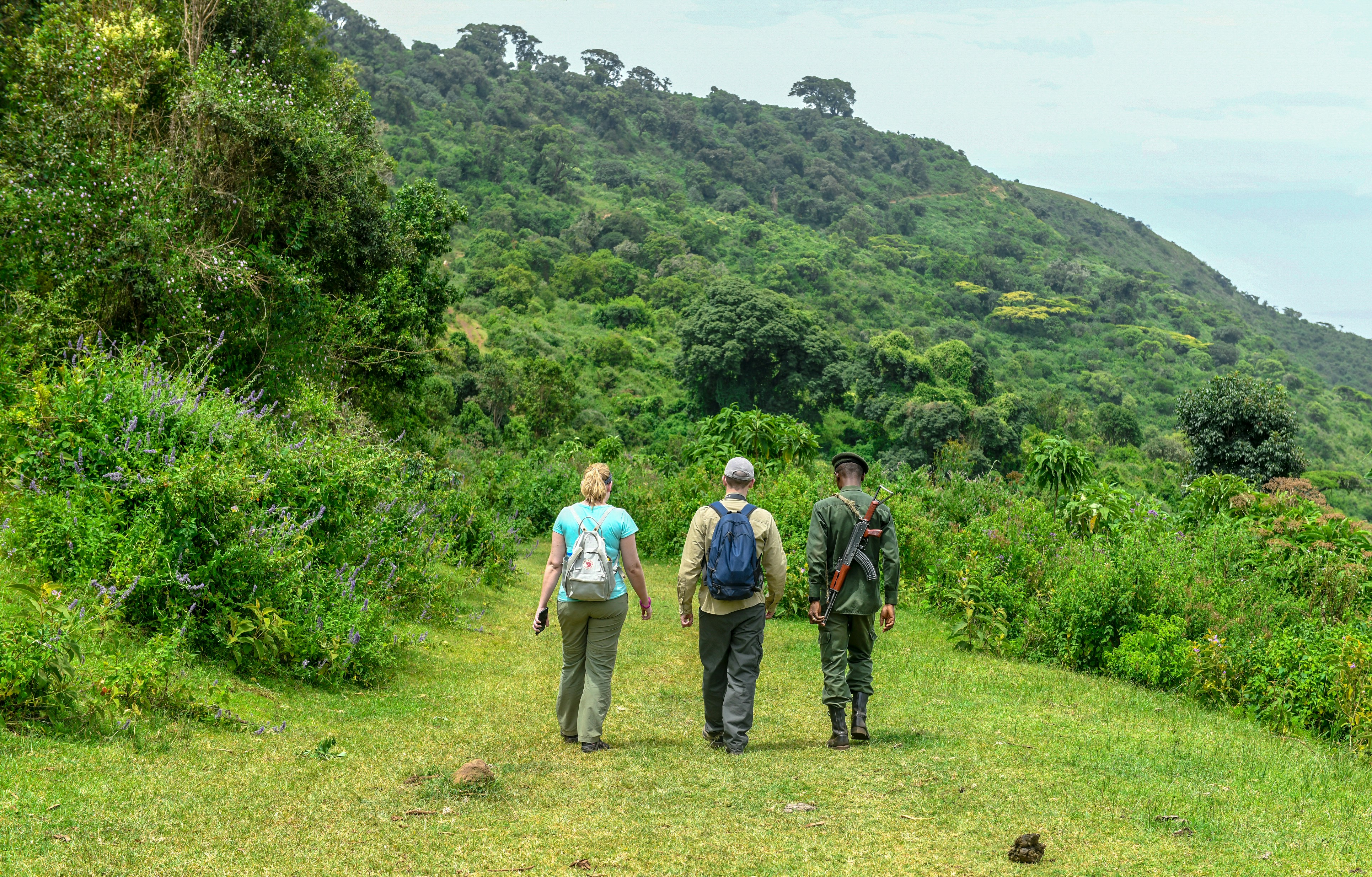 a group of people walking up a hill