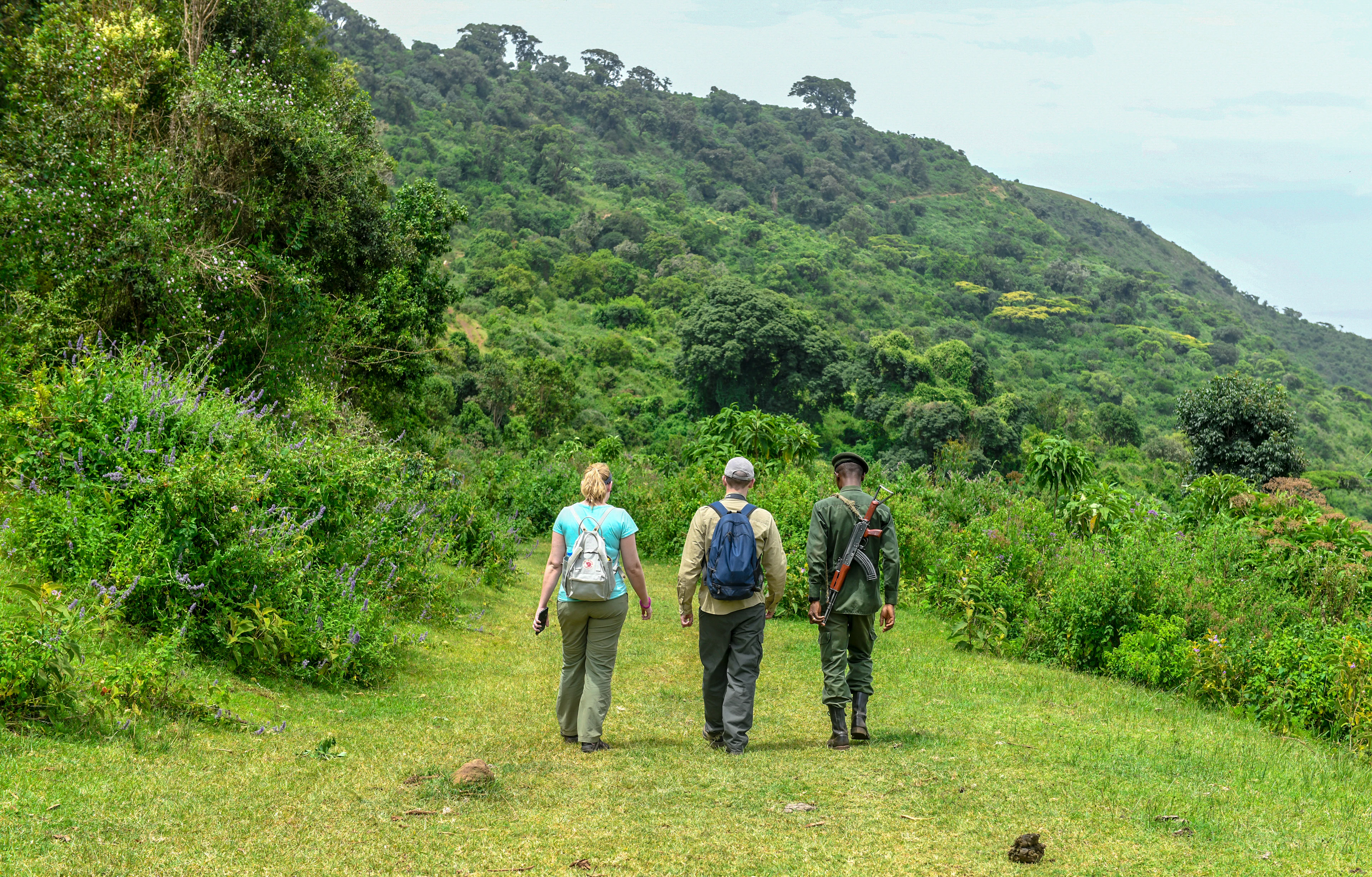 Two travellers on foot with an armed ranger on a walking safari, Tanzania