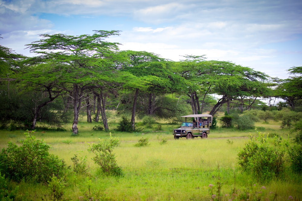 a truck driving through a lush green field