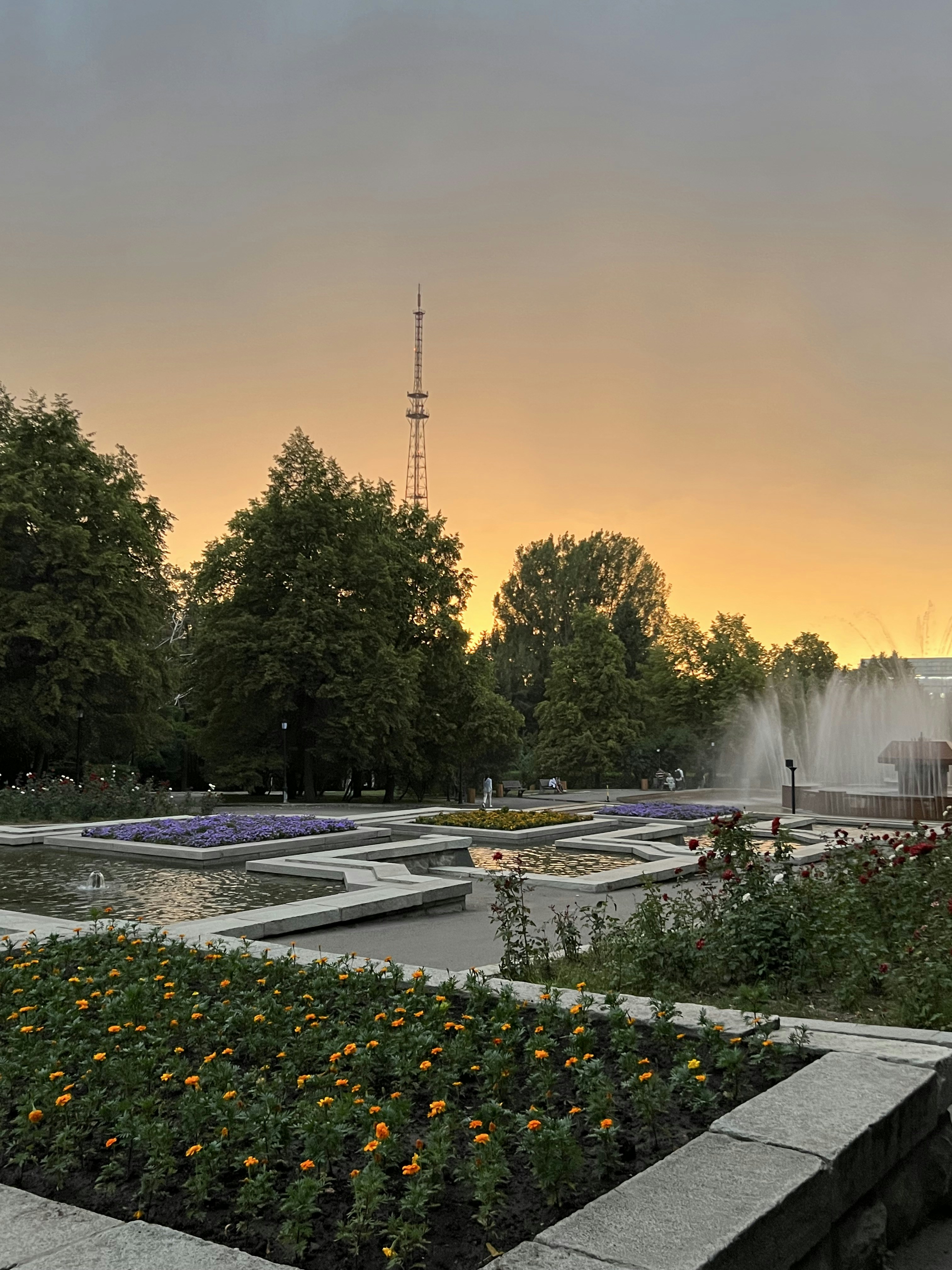 un parco con una fontana e fiori in primo piano
