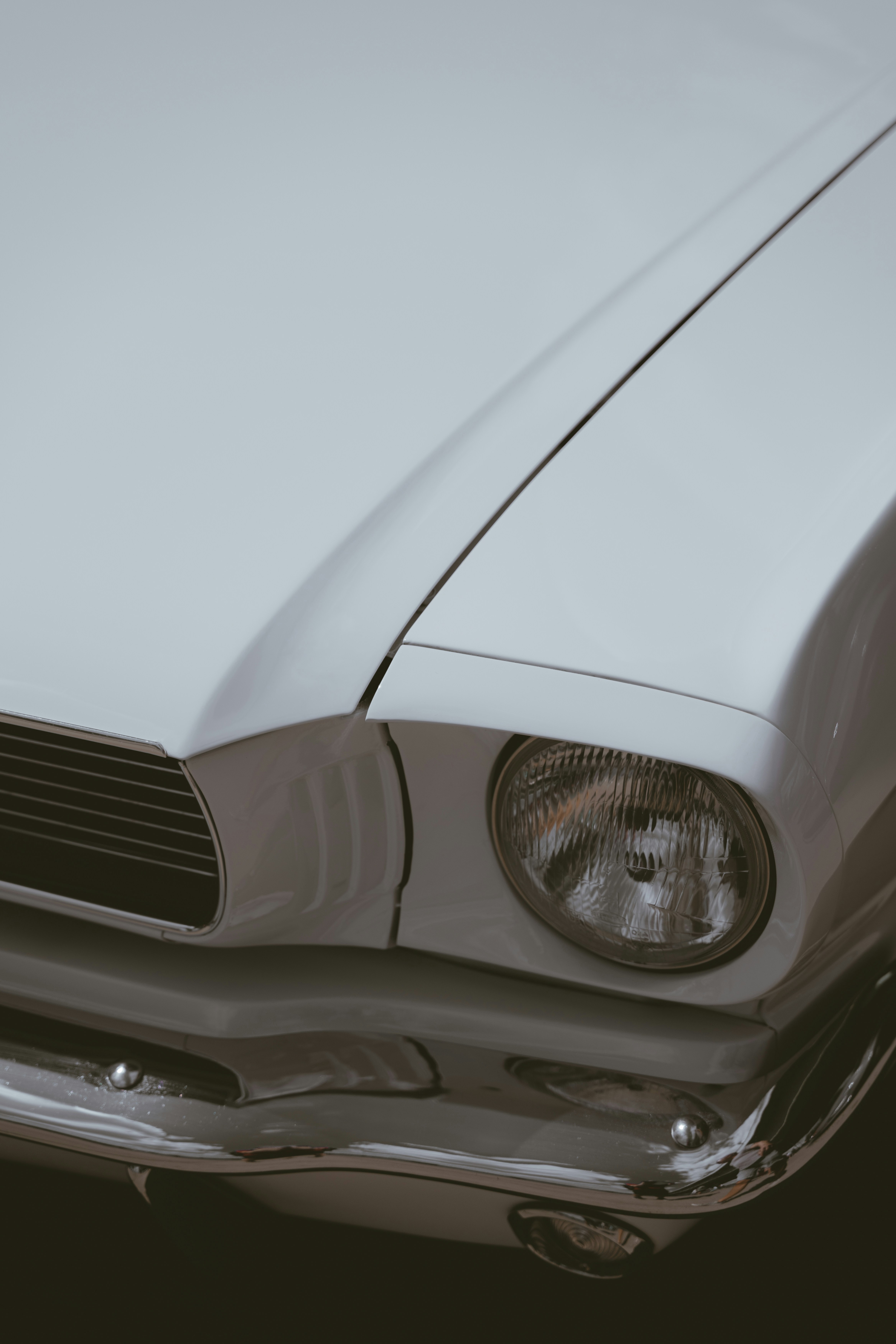 Photo by daniel_von_appen