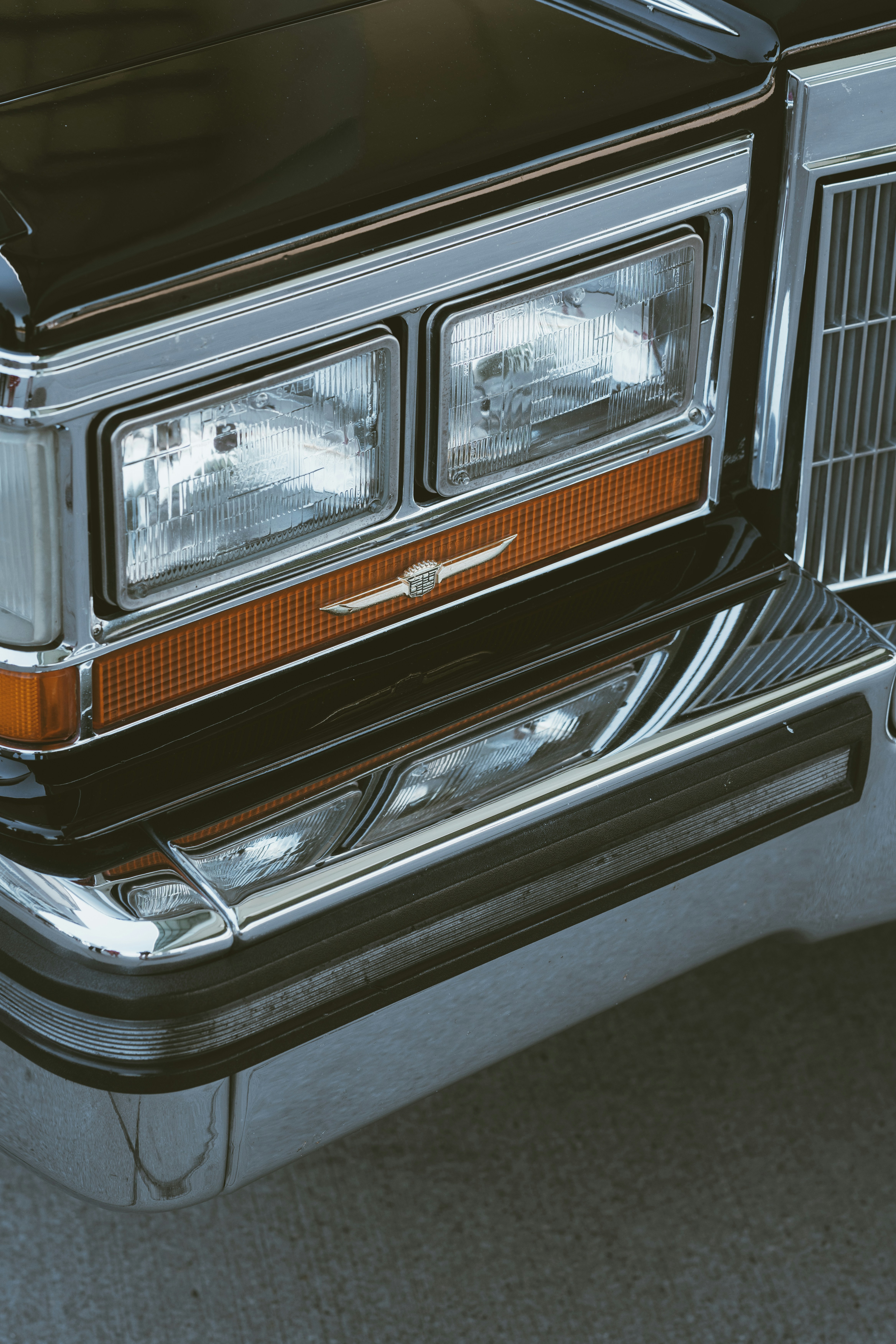 Photo by daniel_von_appen