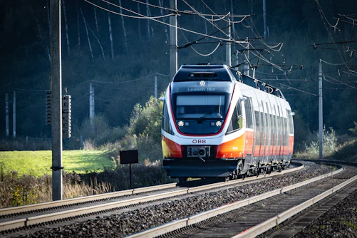 a train traveling down train tracks next to a forest
