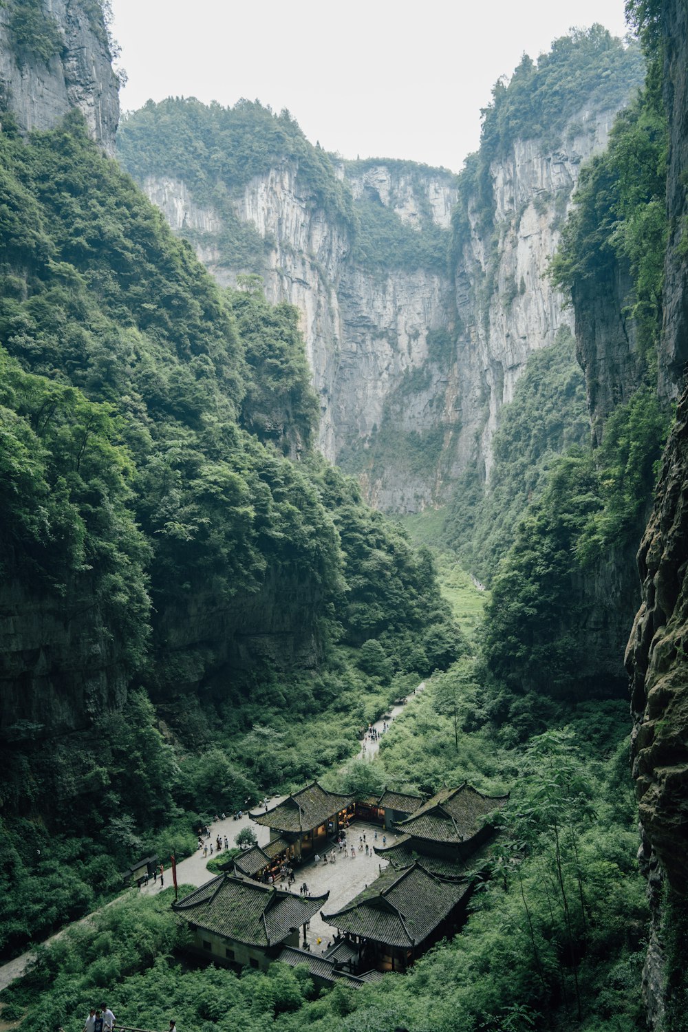 a group of people standing on top of a lush green hillside