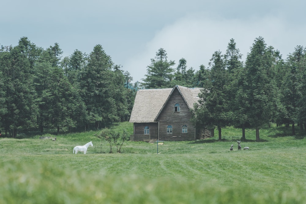 a horse standing in a field next to a house