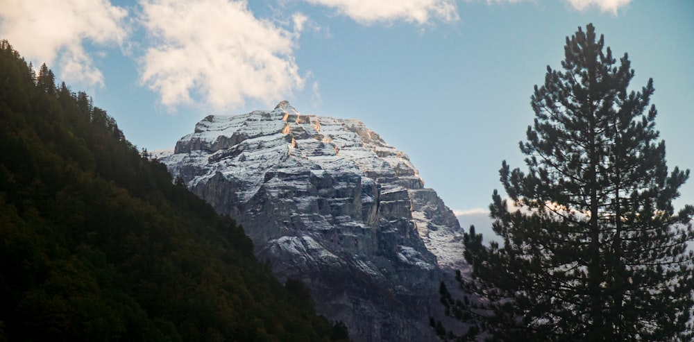 a snow covered mountain with trees in the foreground