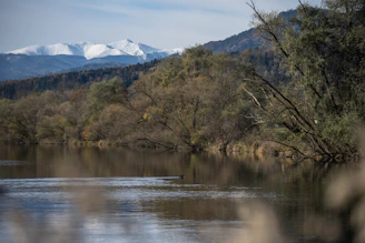 A peaceful moment by the icy waters of Gangotri, reflecting the surrounding snow-covered peaks.