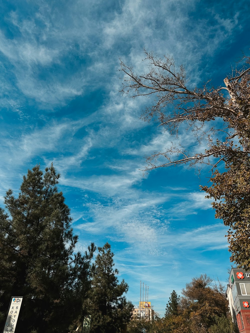 a blue sky with some clouds and some trees