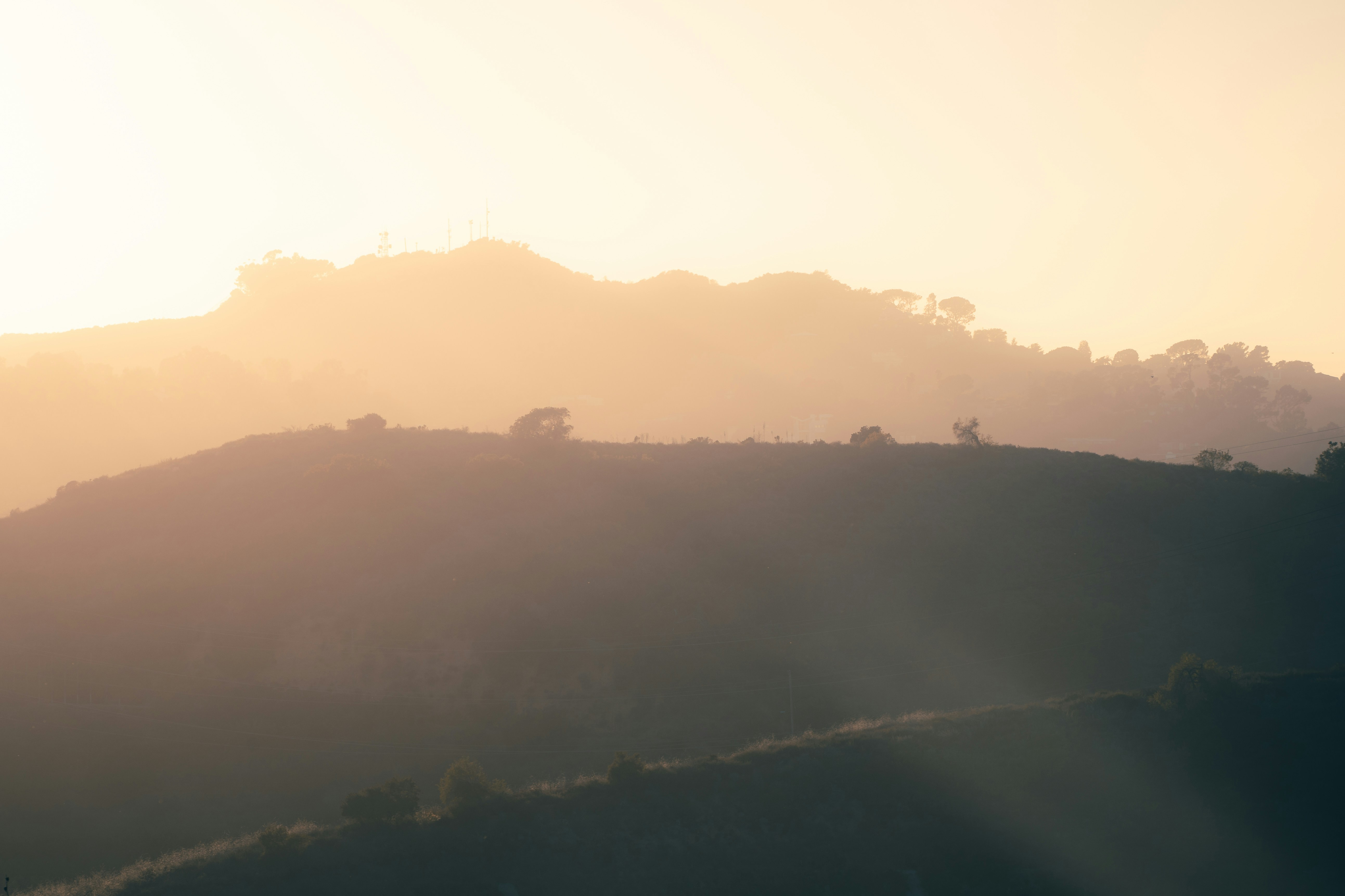 Photo by willianjusten