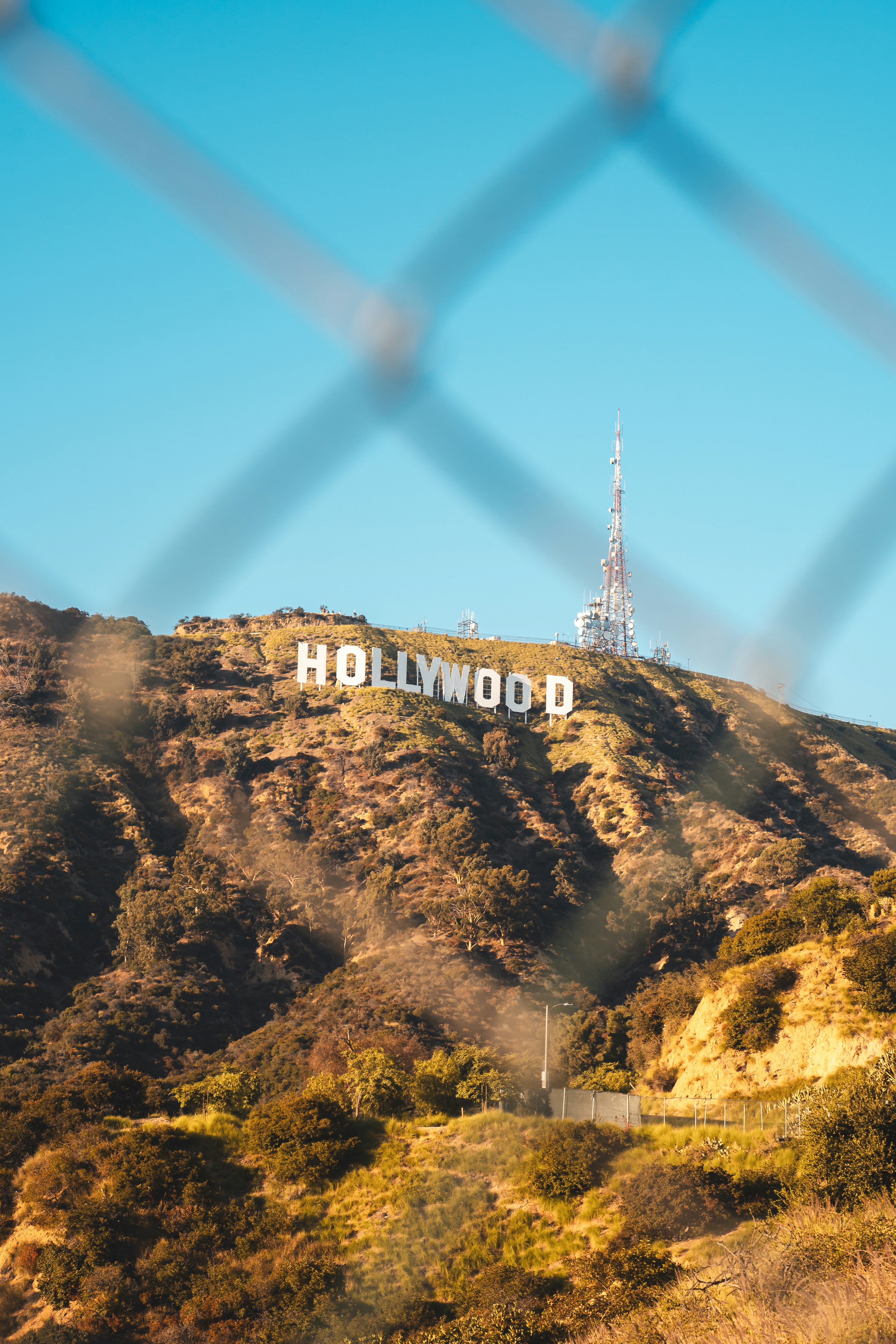 Guided 2.5-Hour Group Hike to the Hollywood Sign 2026 - Los Angeles - BOOK  NOW, image size:3000x4500