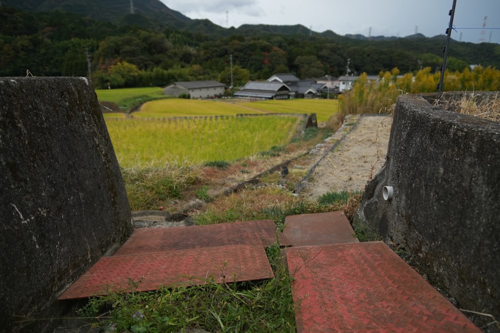 a view of a field from inside a concrete structure