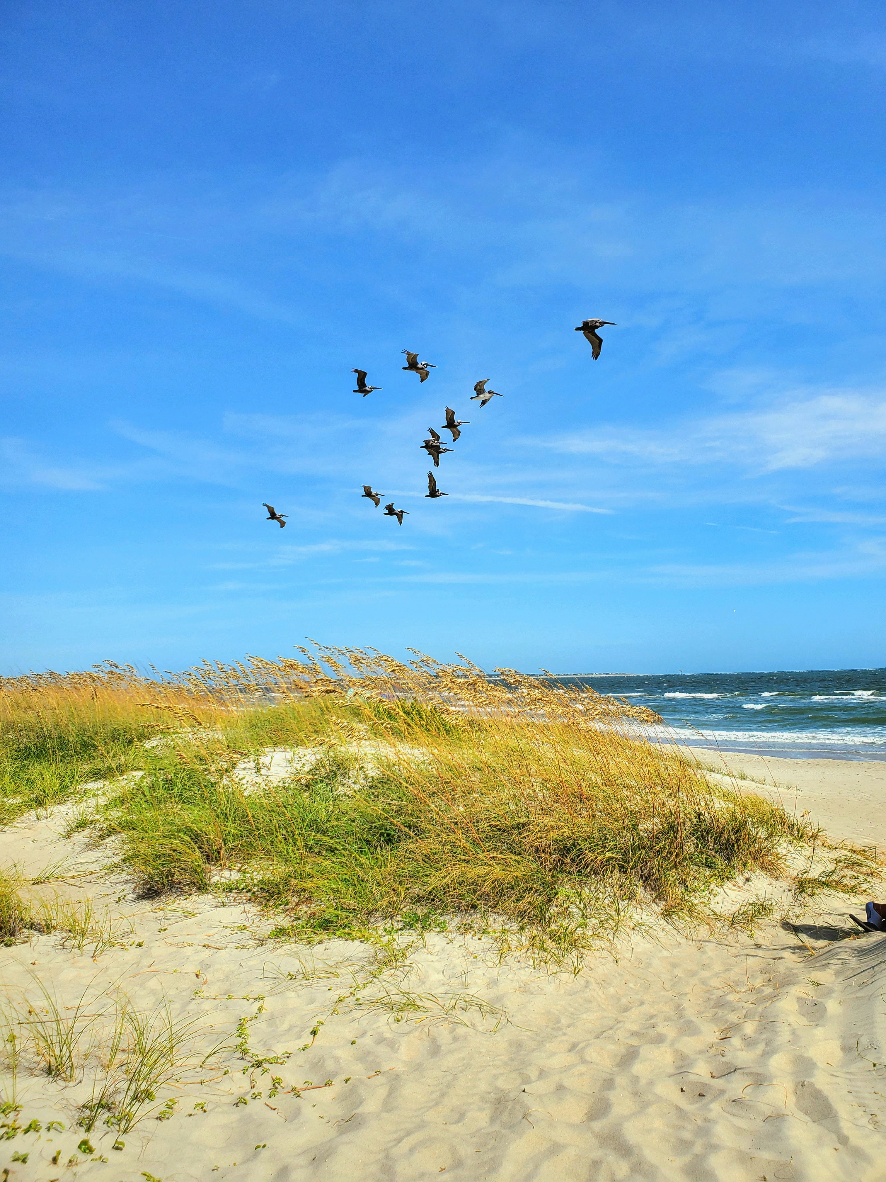 Articulo de ImagenMIA: Fotos de perfil impactantes sin ser un experto en diseño gracias a la IA