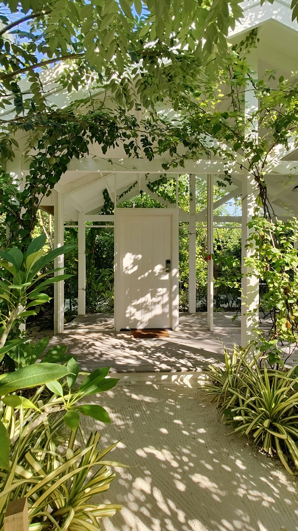 a white building with a white door surrounded by greenery