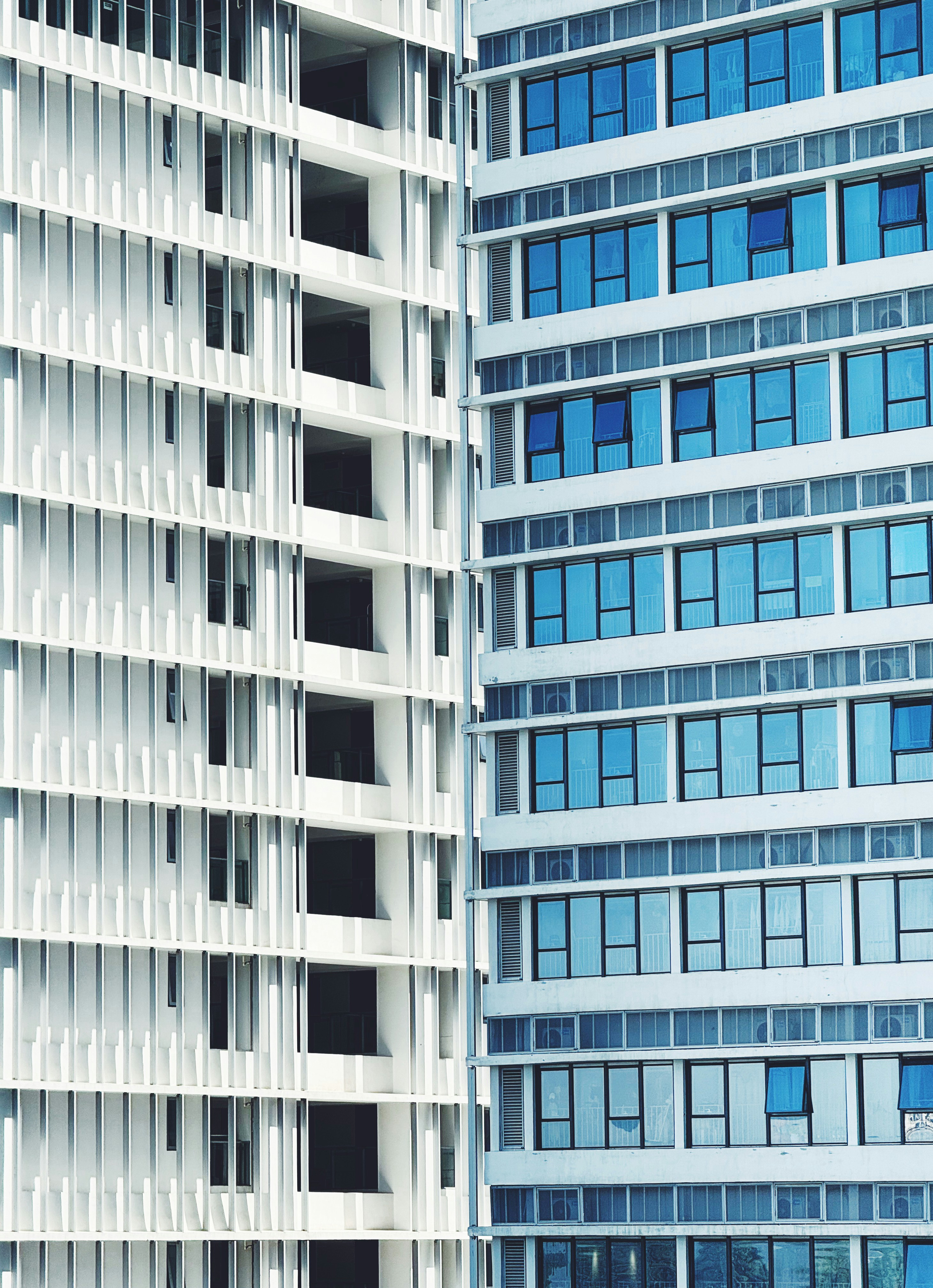 Photo by lilidongdong