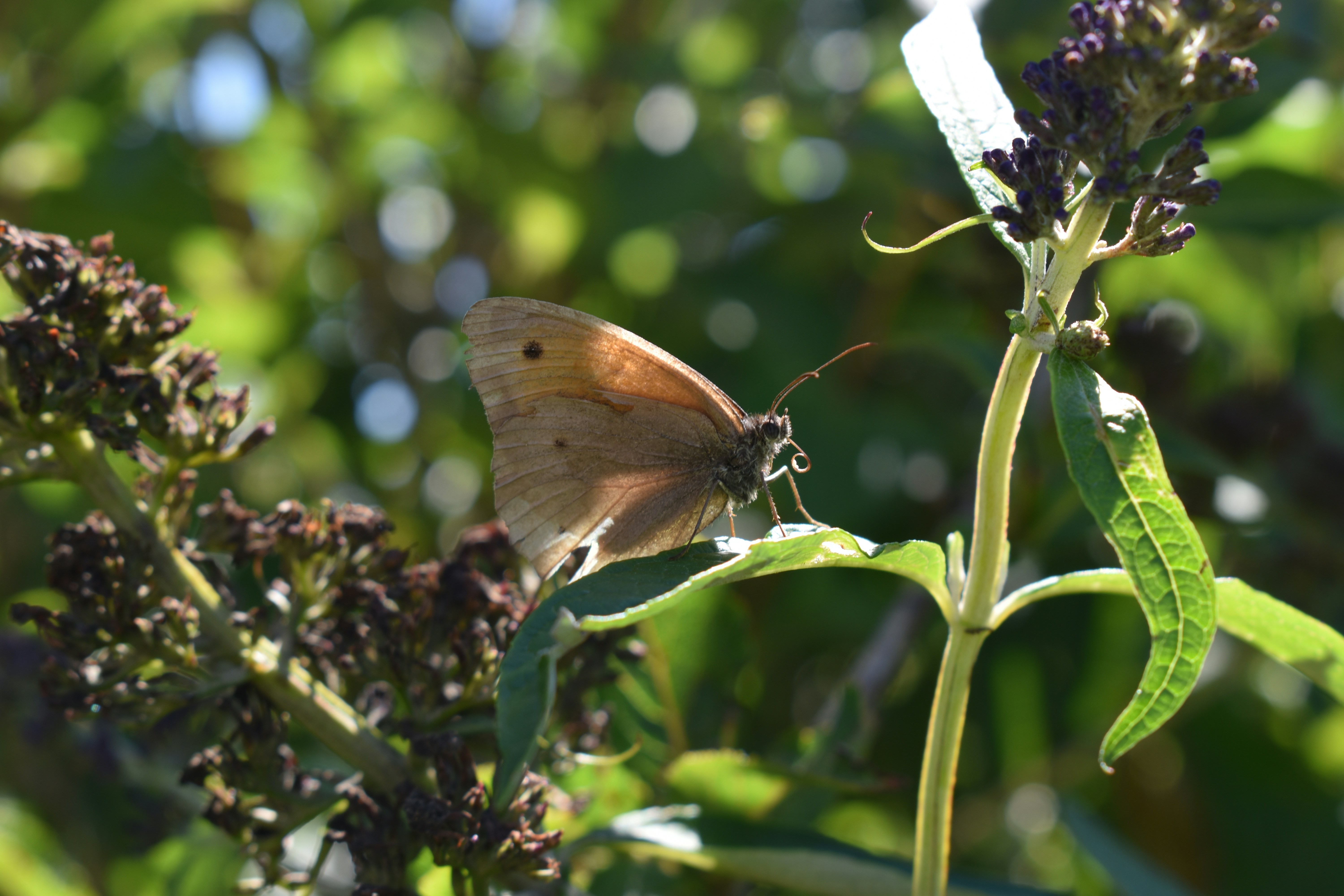 Photo by ninaelisereiter