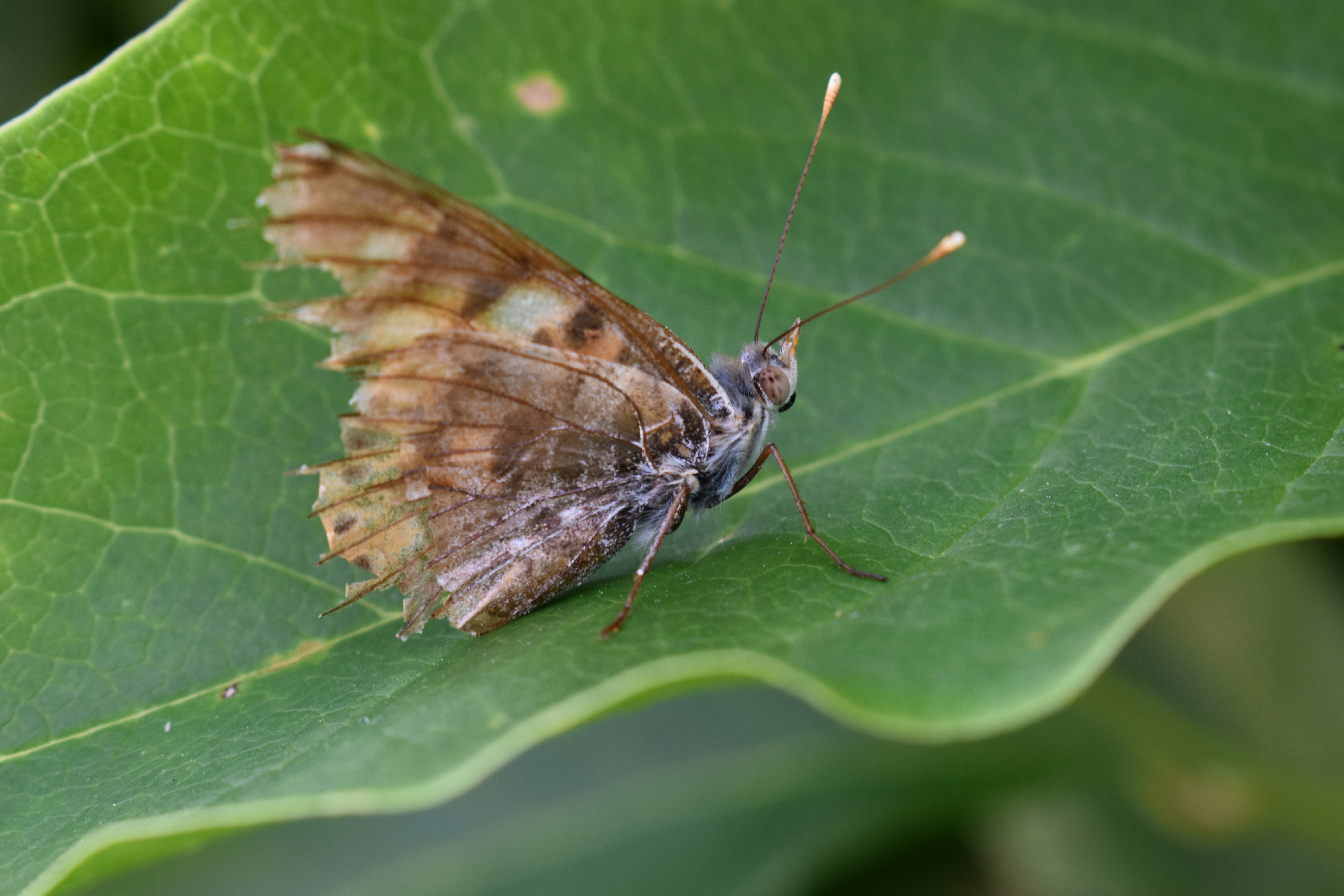 Photo by ninaelisereiter