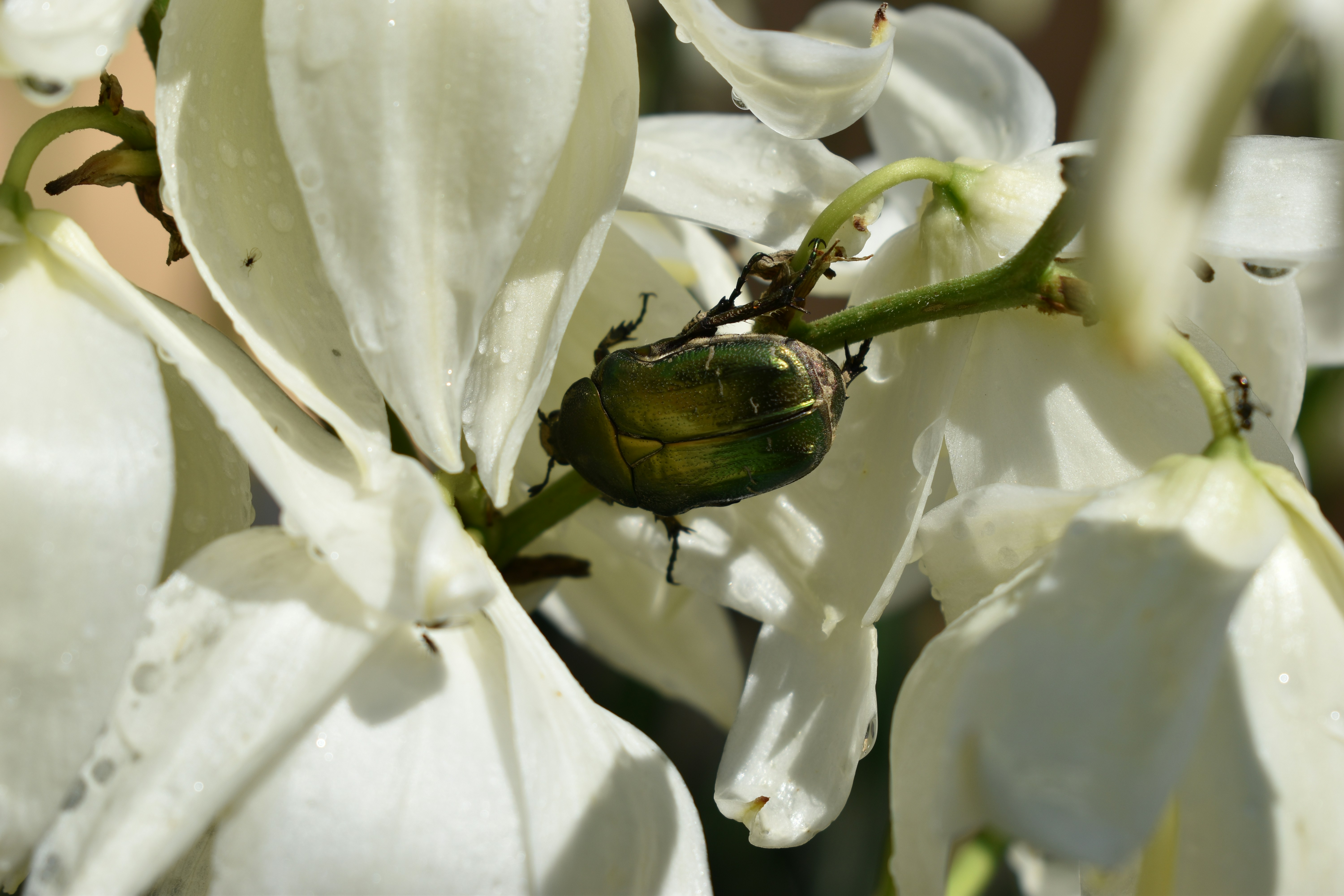 Photo by ninaelisereiter