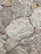 Rough stone tiles are laid out in an uneven pattern. The surfaces feature white and beige veins running across various shades of gray and brown. The texture appears rugged and natural, with some stones having sharper edges, while others seem more rounded.