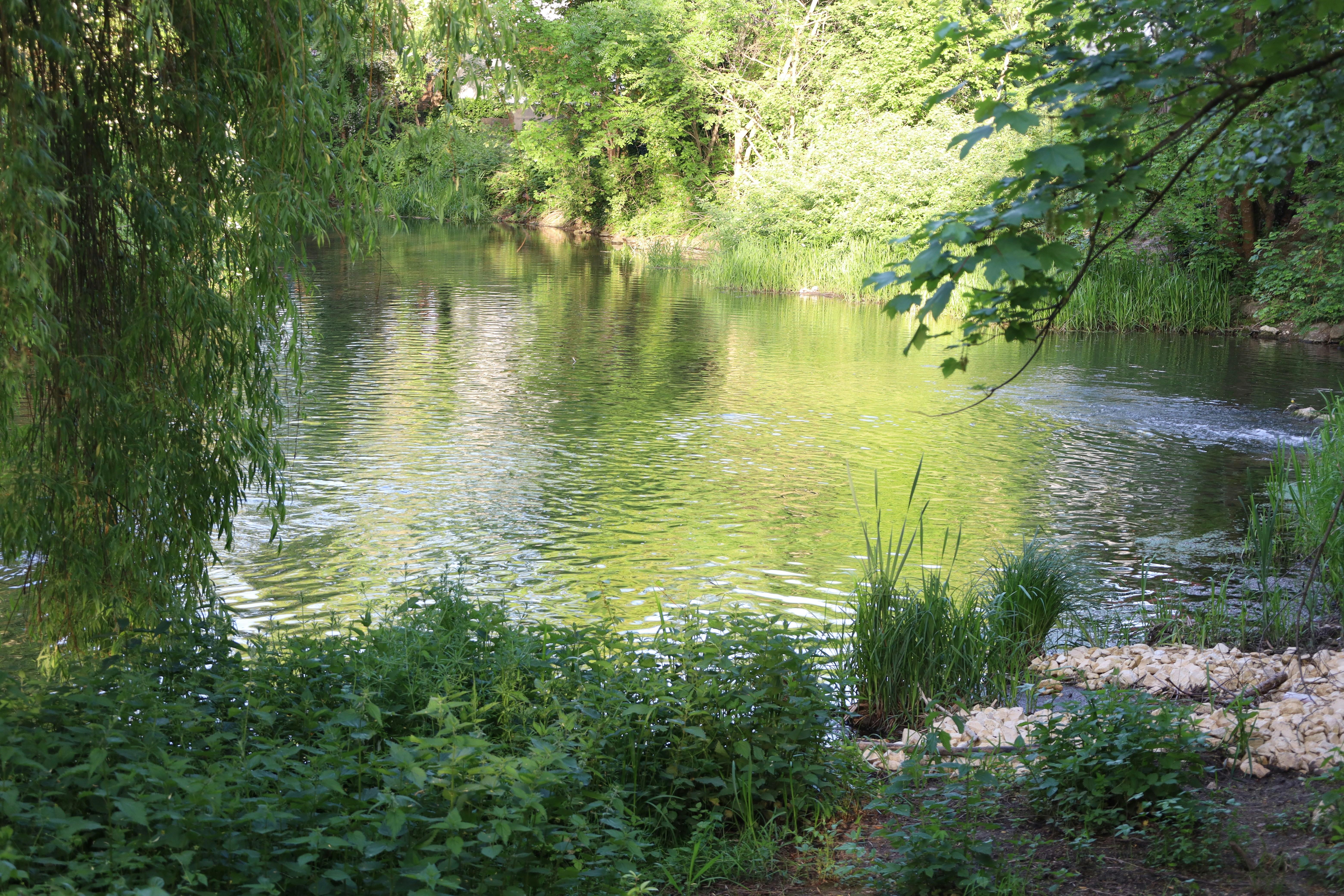 Photo by basilka1975