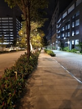 a city street at night with a row of trees