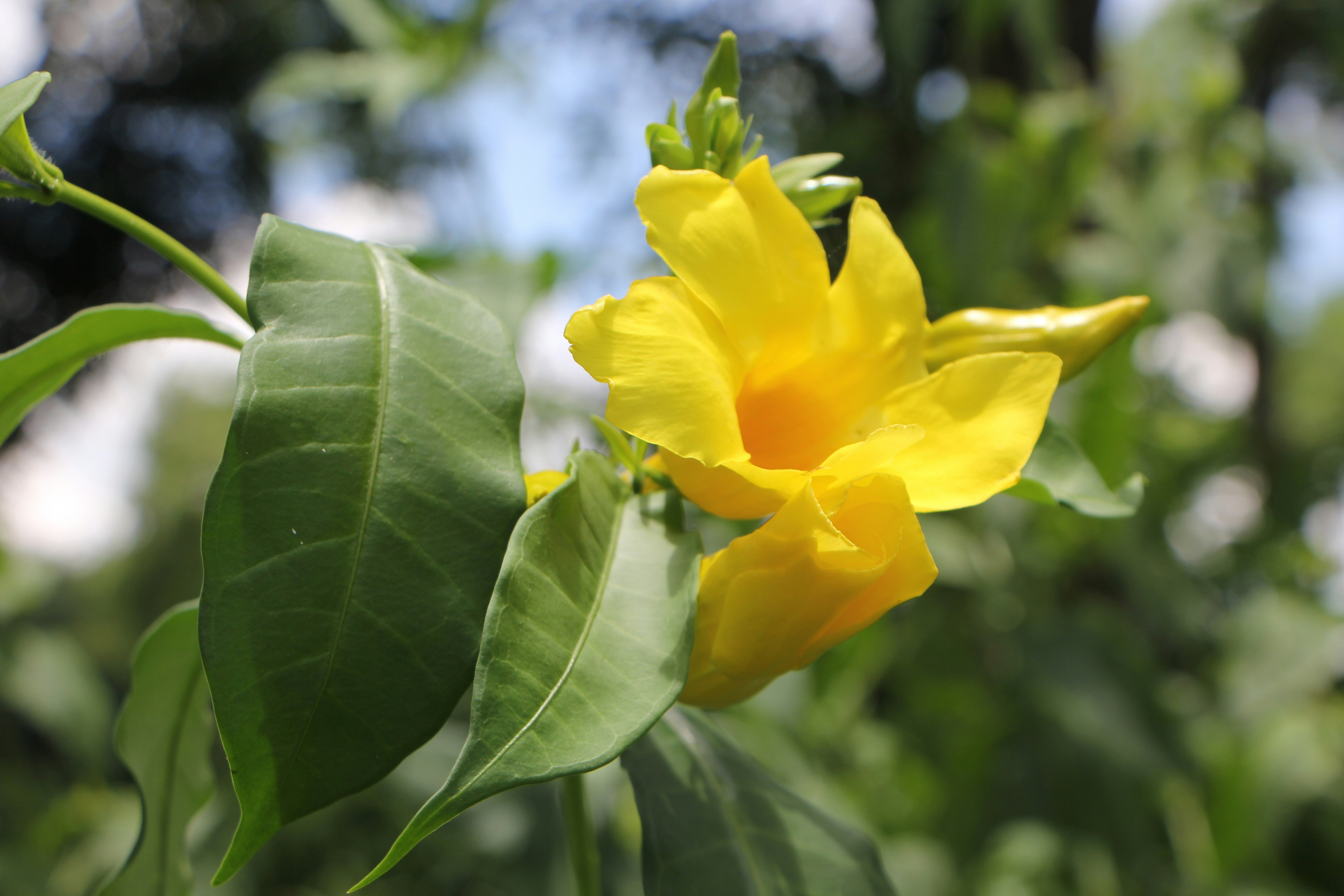 Photo by atanvir2105