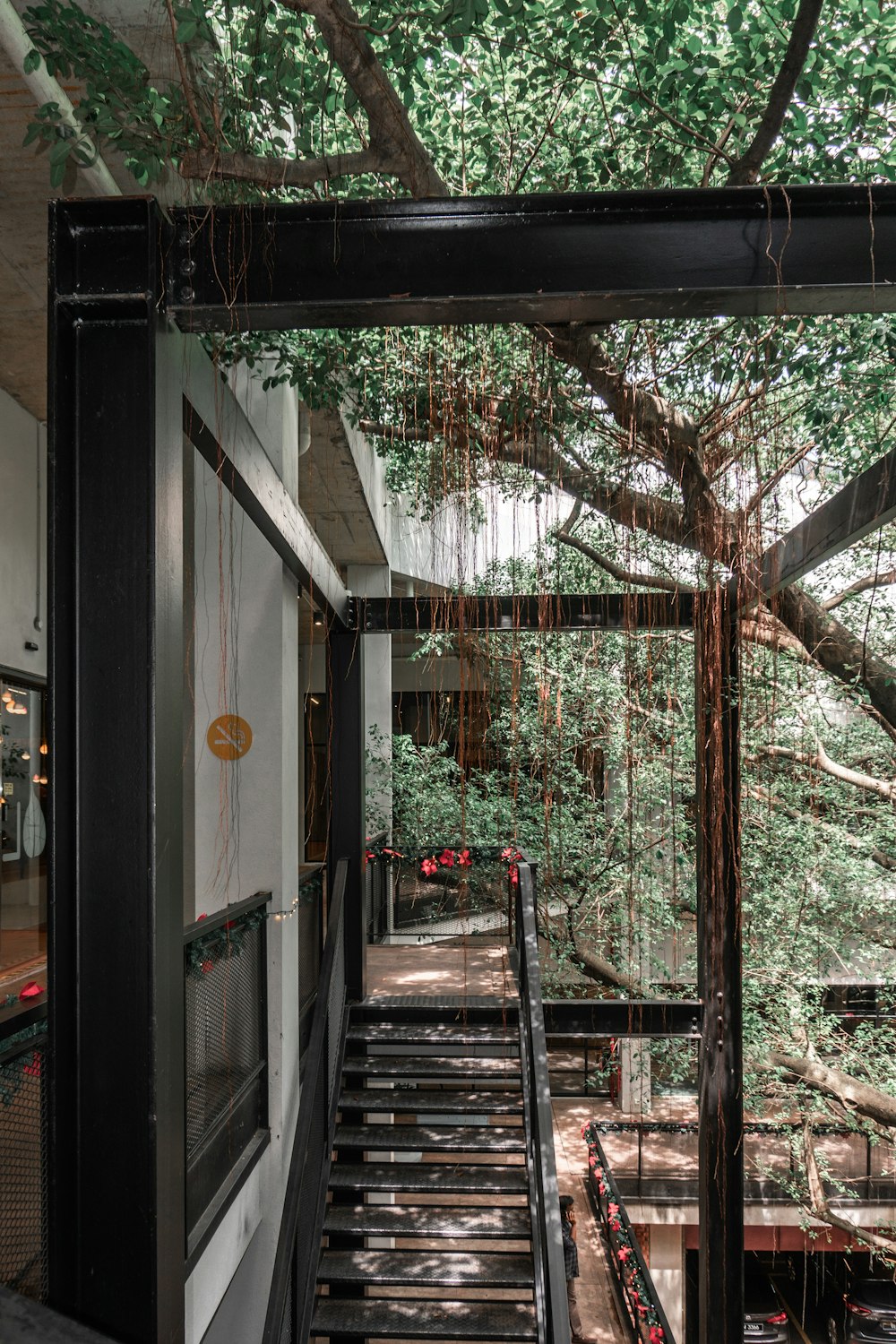 a set of stairs leading up to a tree