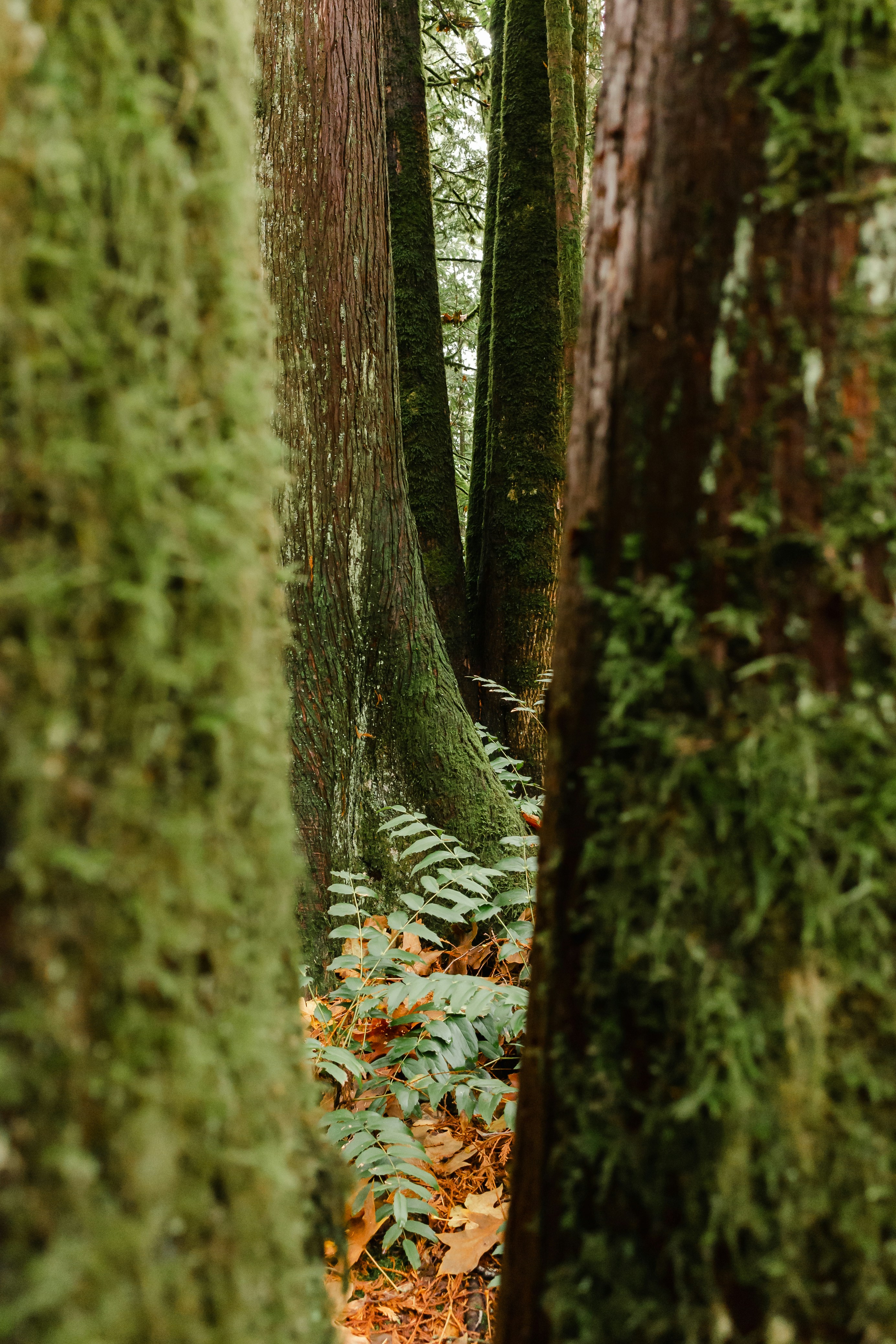 Photo by greg_rosenke