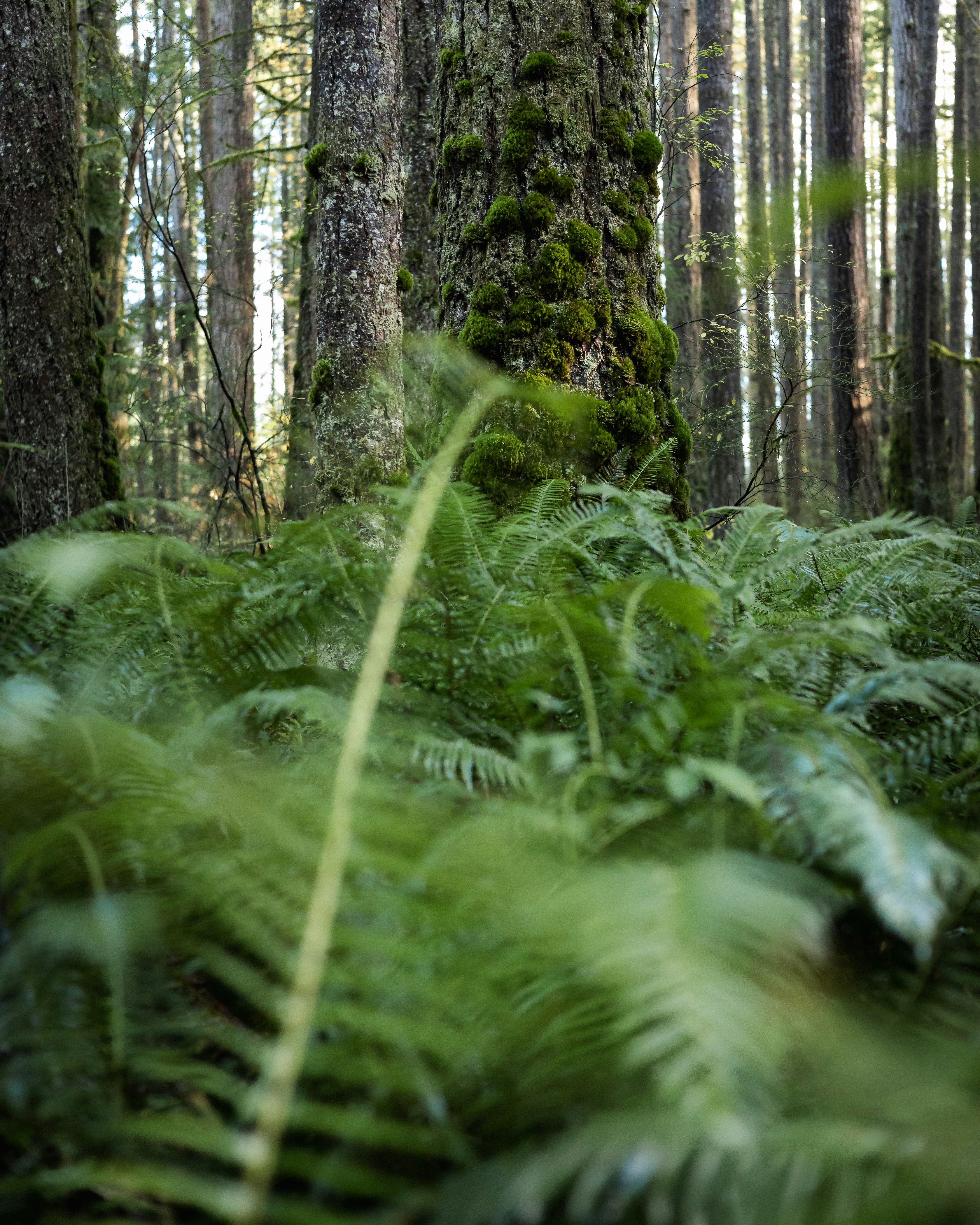 Photo by greg_rosenke