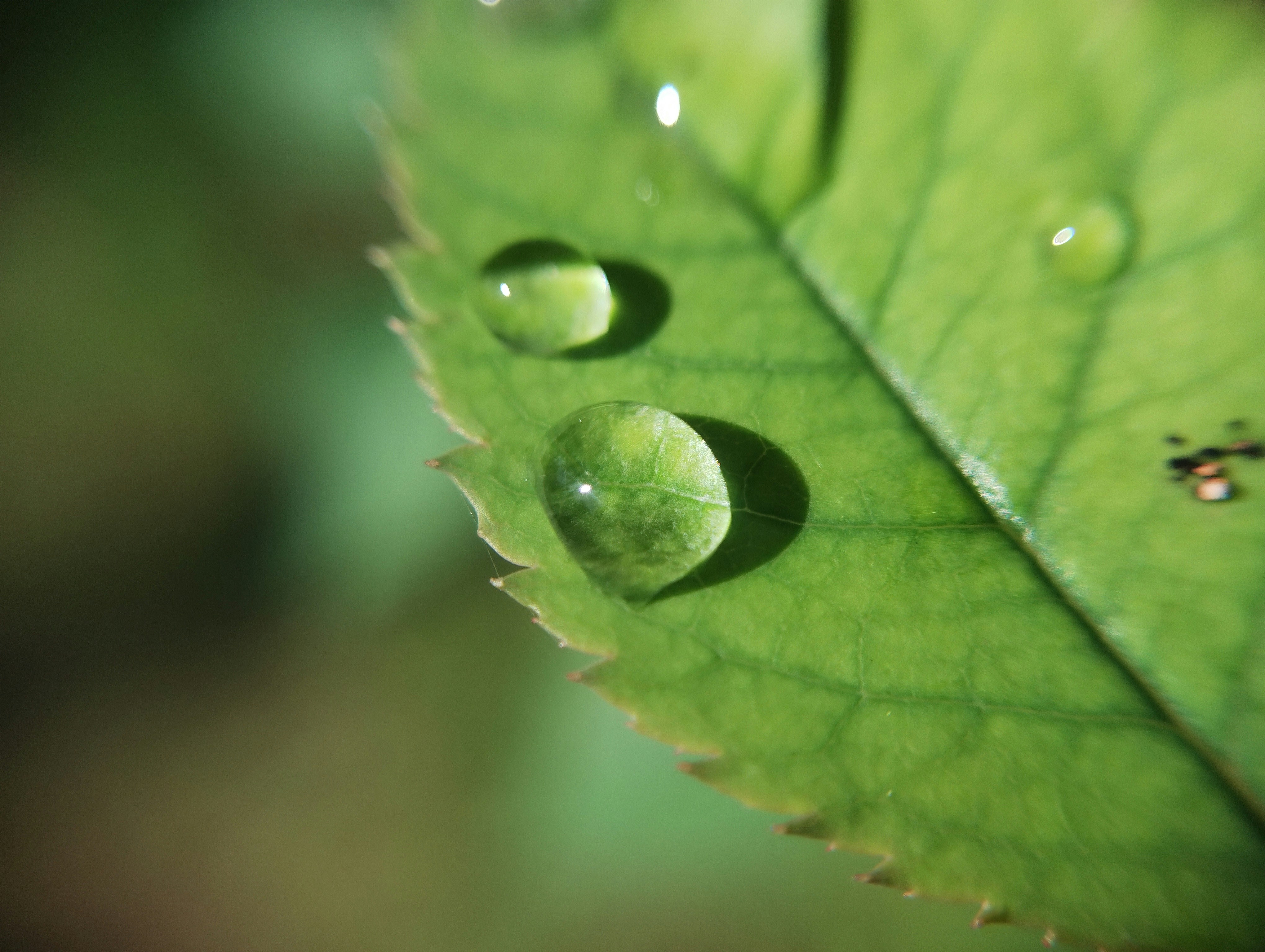 Photo by abhilashbalakrishnan97