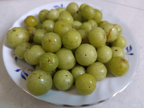 A close-up of fresh amla fruits on a wooden table.