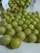 A collection of fresh green Indian gooseberries scattered across a light-colored surface, with some falling out of a white bowl adorned with blue floral designs.