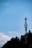 A communication tower stands tall against a clear blue sky, partially bordered by the silhouettes of lush trees.